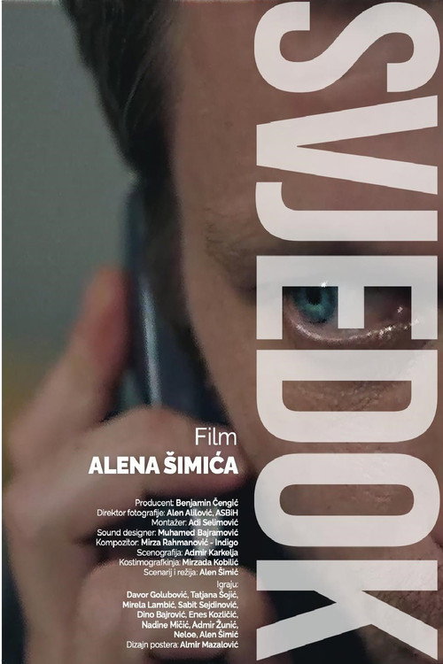 Movie poster for The Witness (2023)