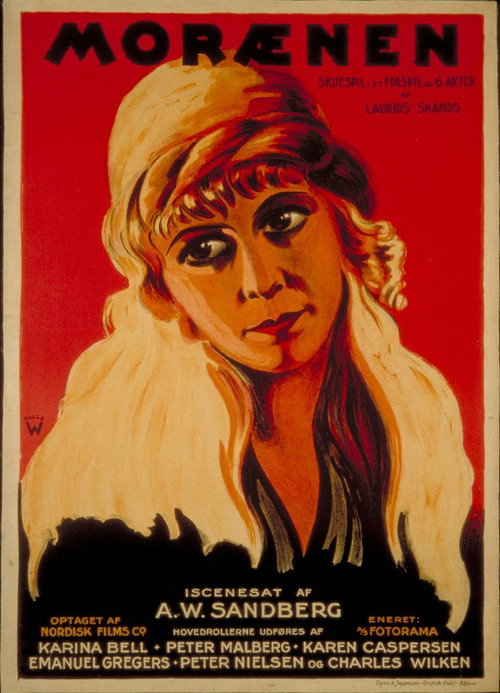 Movie poster for The House of Shadows (1924)
