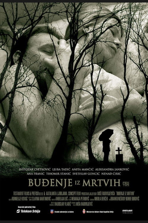 Awakening from the Dead poster