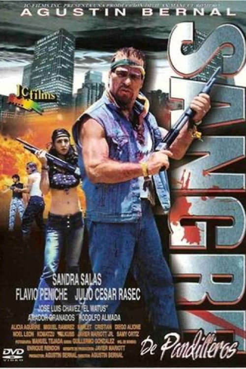 Movie poster for Sangre de pandilleros (2002)