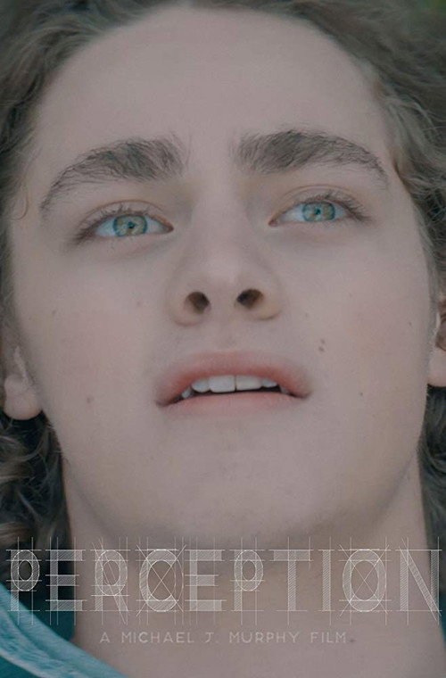 Movie poster for Perception (2017)