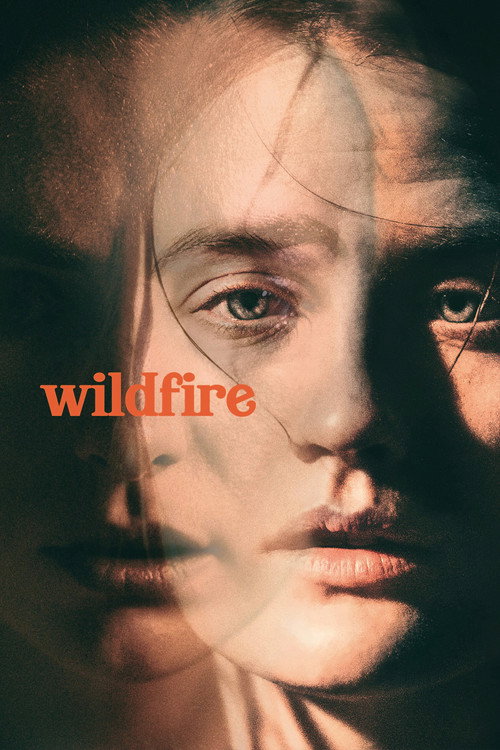 Movie poster for Wildfire (2021)
