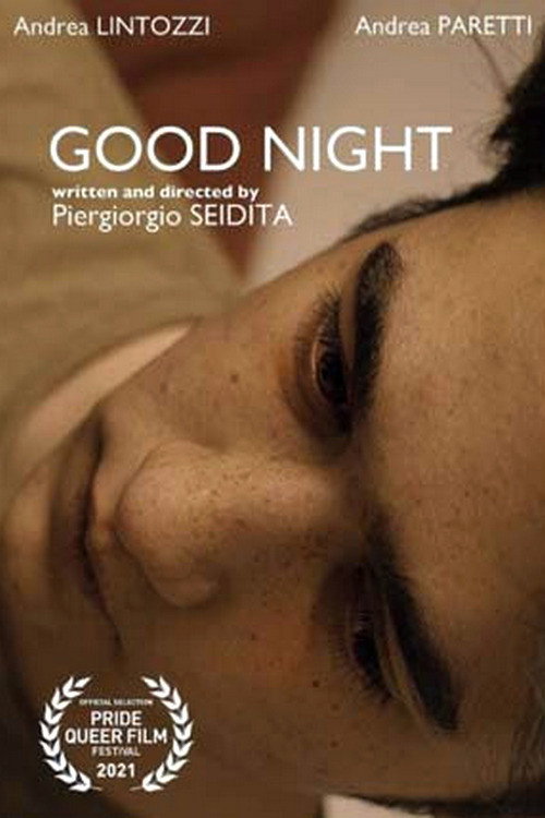 Movie poster for Good Night (2019)