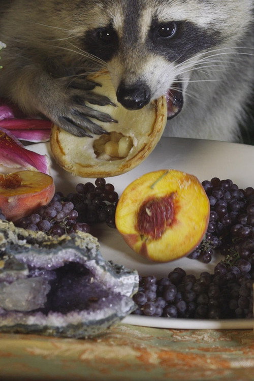 Movie poster for You Are an Amazement (2019)