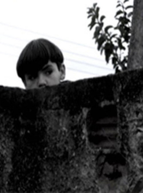 Movie poster for O Muro (2009)