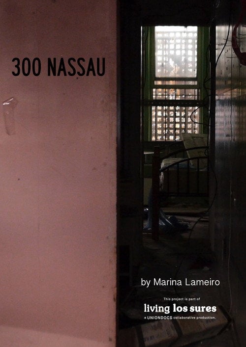 Movie poster for 300 Nassau (2015)