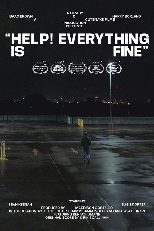 Movie poster for Help! Everything is Fine