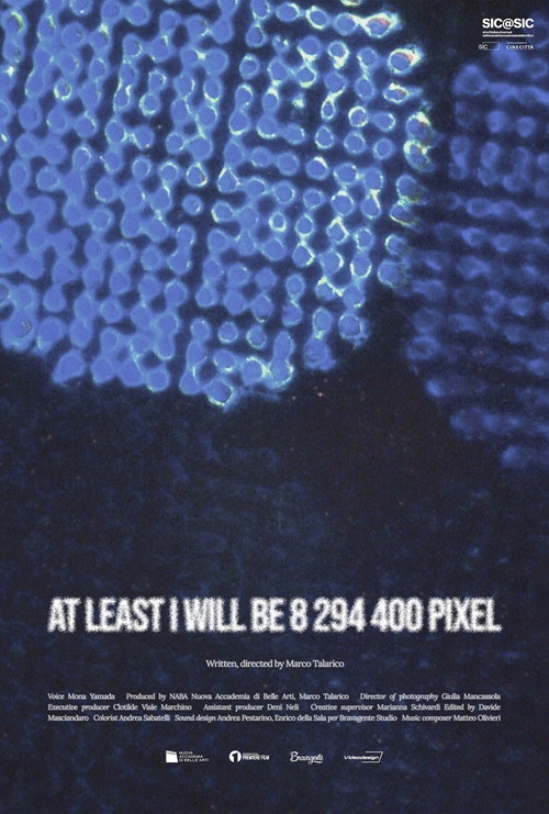Movie poster for At Least I Will Be 8 294 400 Pixel (2024)