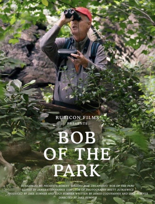 Movie poster for Bob of the Park (2019)