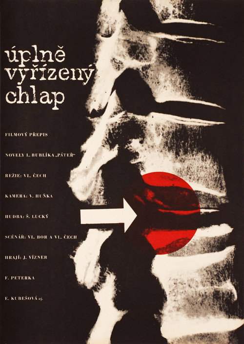 Movie poster for Úplně vyřízený chlap (1965)