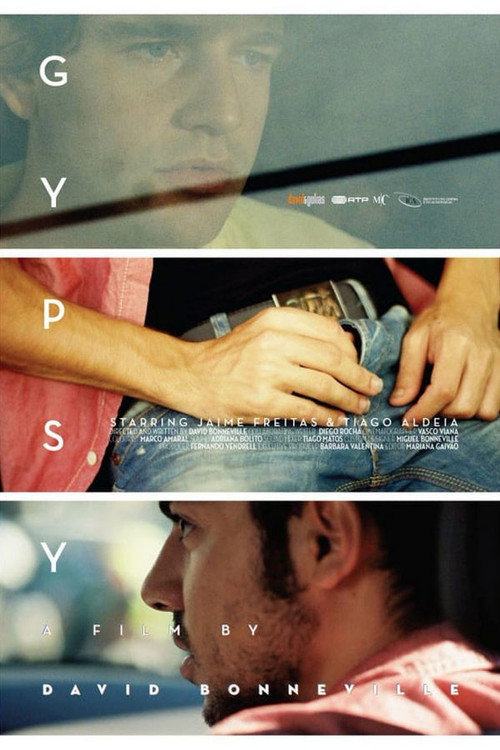 Movie poster for Gypsy (2013)