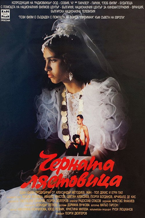 Movie poster for The Black Swallow (1997)