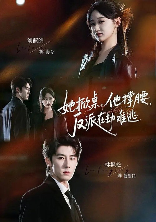 她掀桌，他撑腰，反派在劫难逃 poster