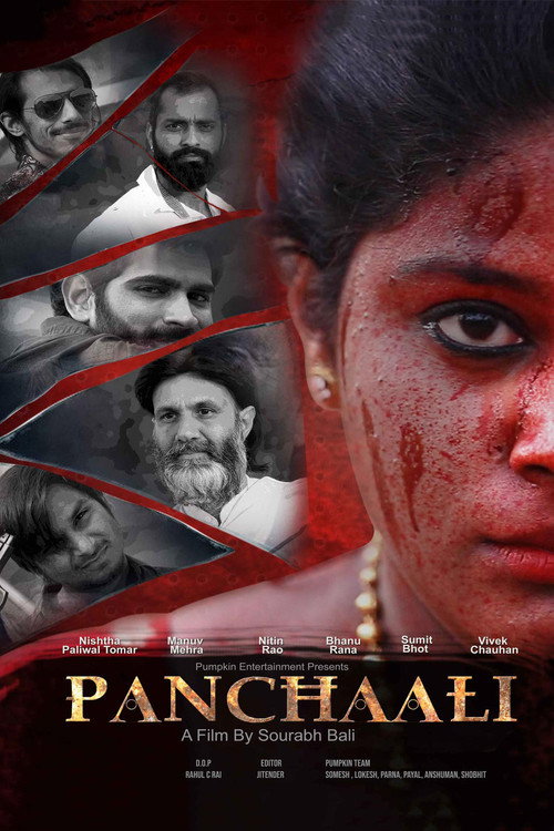 Movie poster for Panchaali (2018)