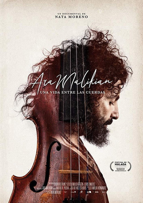 Movie poster for Ara Malikian: una vida entre las cuerdas (2019)
