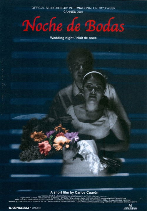 Movie poster for Wedding Night (2001)