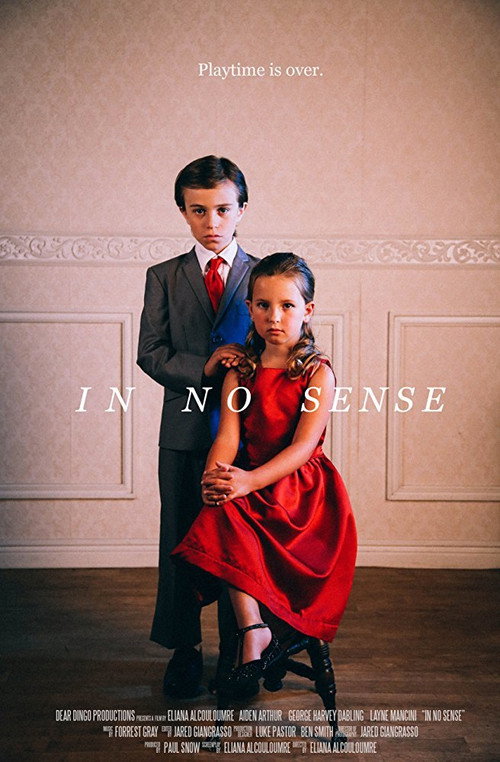 Movie poster for In No Sense (2016)