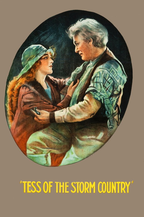 Movie poster for Tess of the Storm Country (1922)