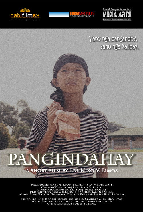 Movie poster for Pangindahay (2014)