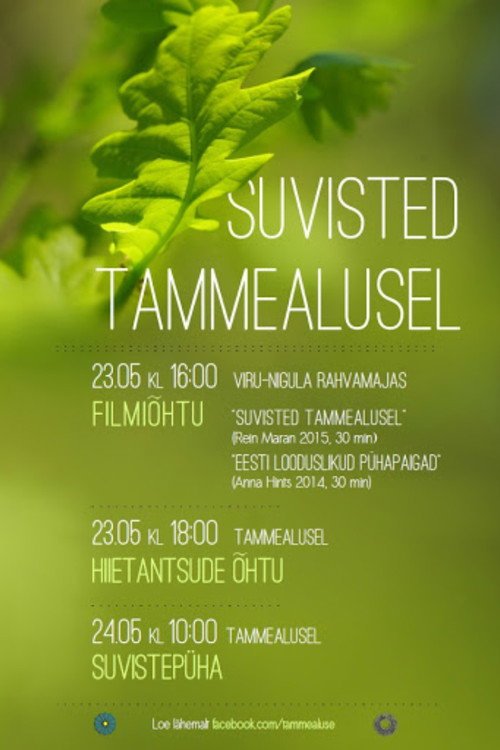 Movie poster for Suvisted Tammealusel (2015)