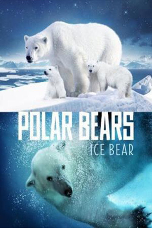 Movie poster for Polar Bears: Ice Bear (2013)