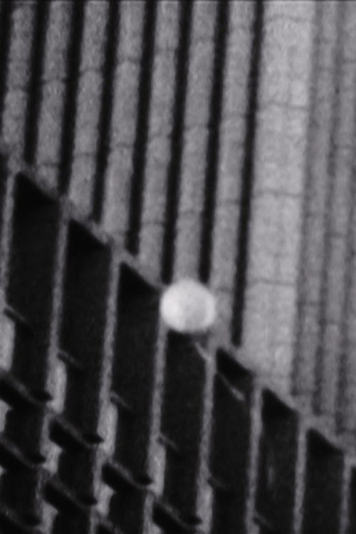 The Accusation poster