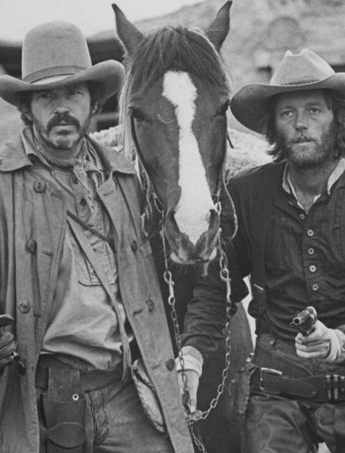 Movie poster for Return of the "Hired Hand" (2003)