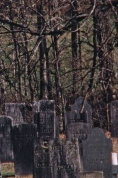 Movie poster for Threnody (2015)
