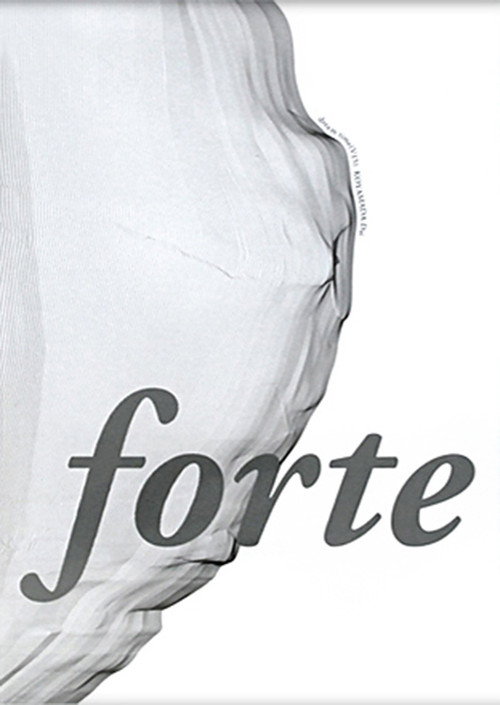 Movie poster for Forte (2005)