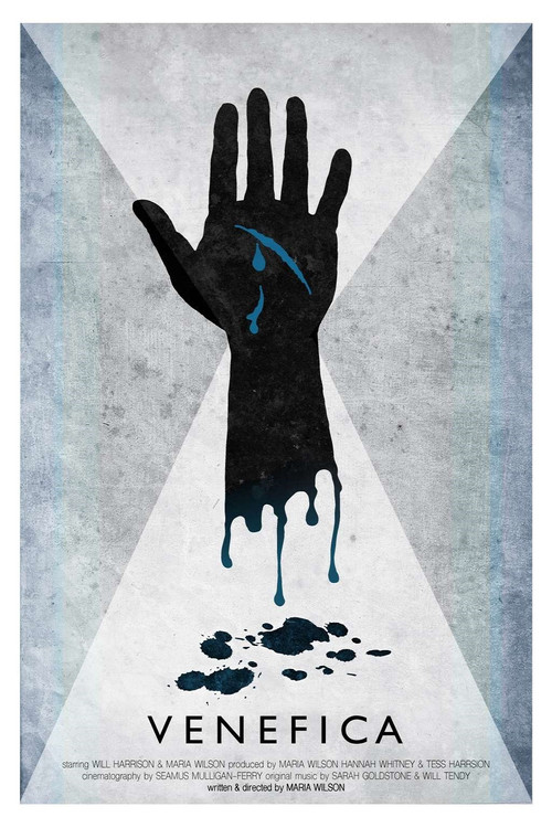 Movie poster for Venefica (2015)