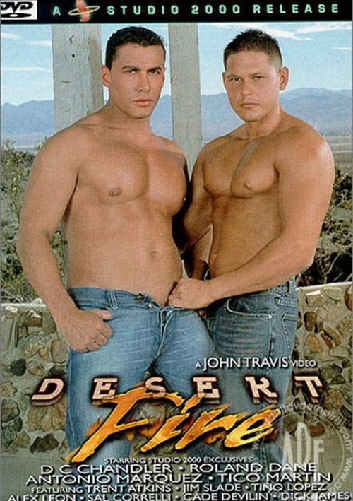 Movie poster for Desert Fire (2003)