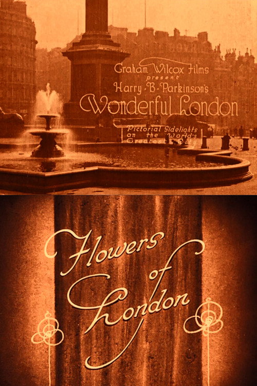 Movie poster for Wonderful London: Flowers of London (1924)