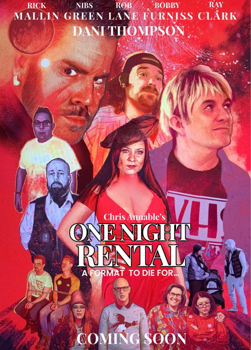 Movie poster for One Night Rental (2024)