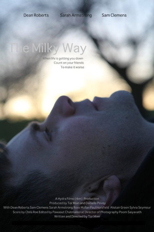 Movie poster for The Milky Way (2015)