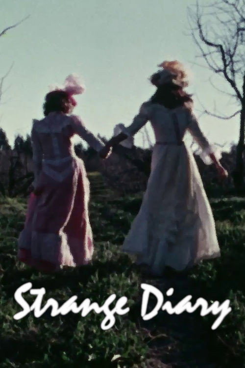 Movie poster for Strange Diary (1976)