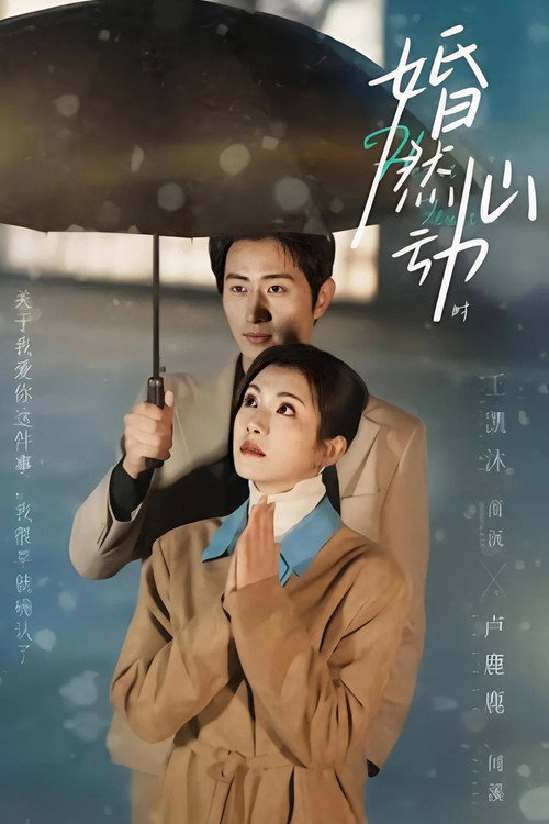 婚然心动时 poster
