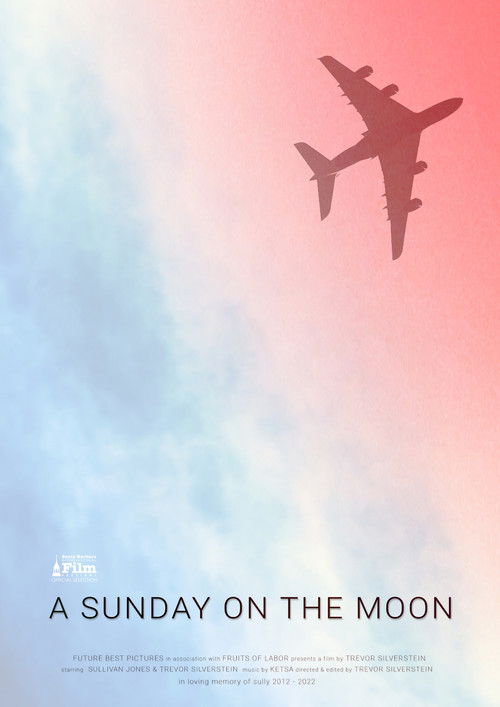Movie poster for A Sunday on the Moon (2026)