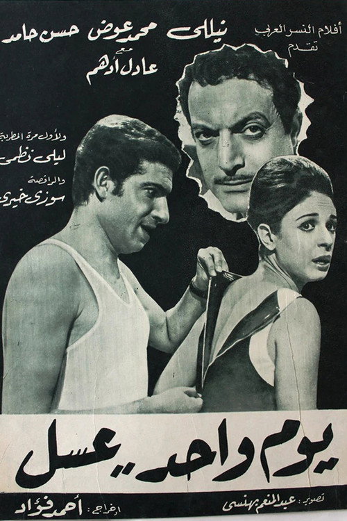 Movie poster for يوم واحد عسل (1969)