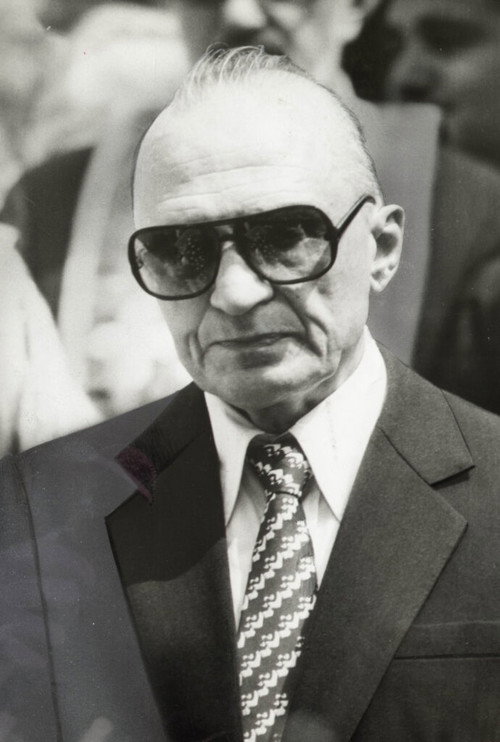 Photo of Dan Deșliu, Acting