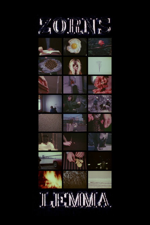 Movie poster for Zorns Lemma (1970)