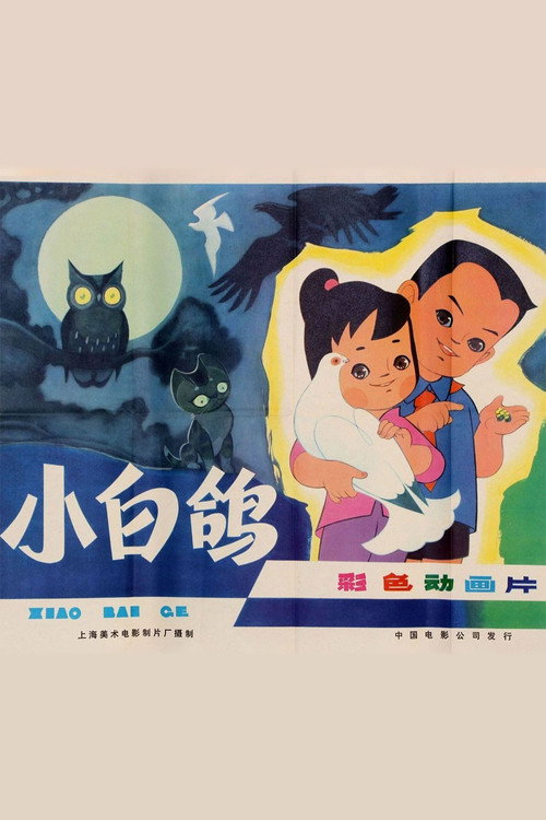Movie poster for 小白鸽 (1978)