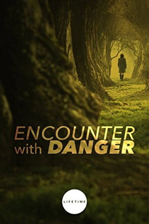 Movie poster for Encounter with Danger (2010)