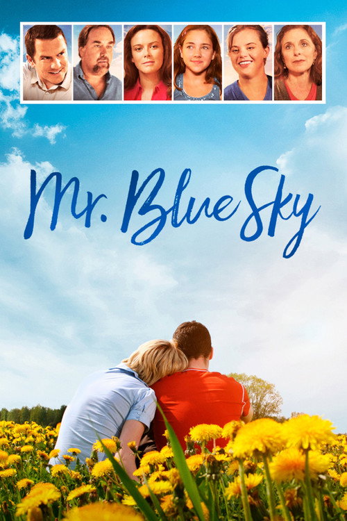 Movie poster for Mr. Blue Sky (2007)