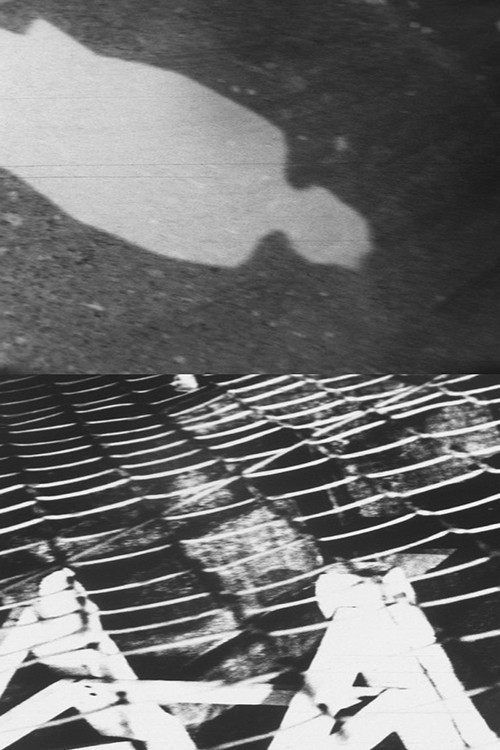 Movie poster for Shadow (1968)