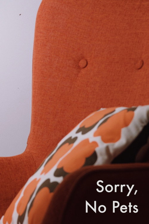 Movie poster for Sorry, No Pets (2024)