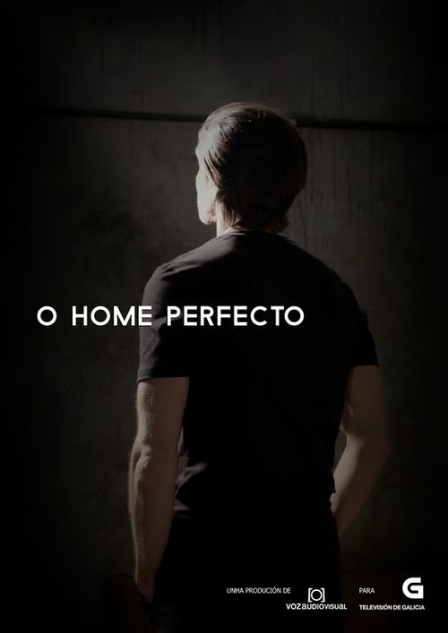 O home perfecto poster