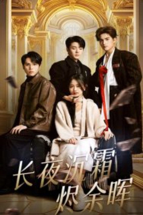 Series poster for 长夜沉霜烬余晖 (2025)