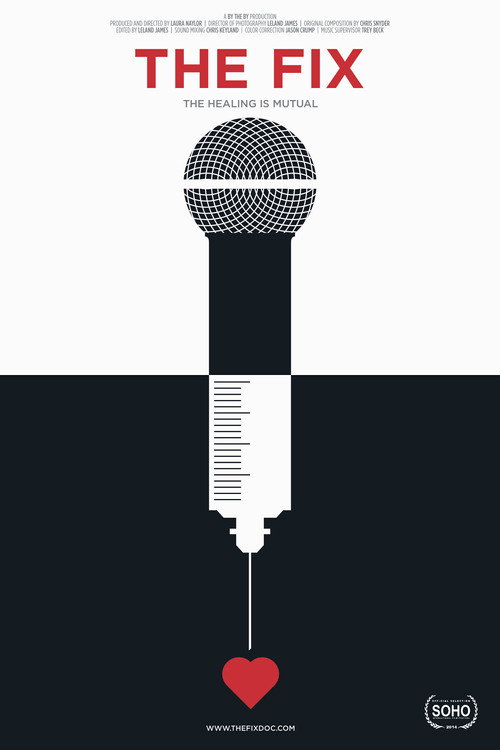 Movie poster for The Fix (2014)