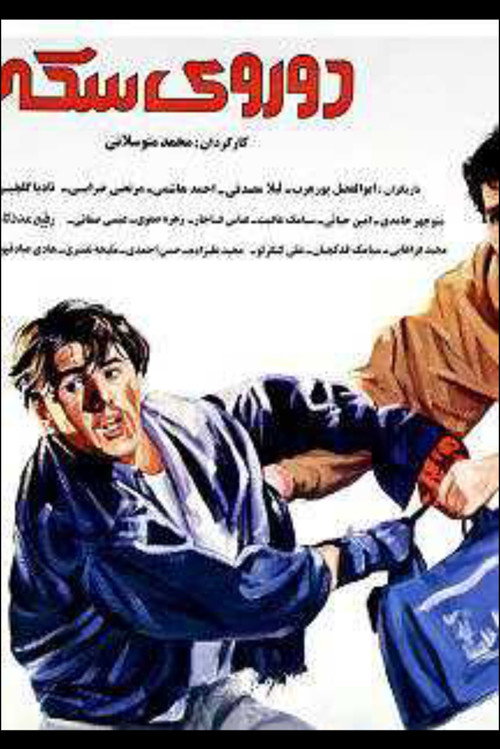 Movie poster for Two Faces of the Coin