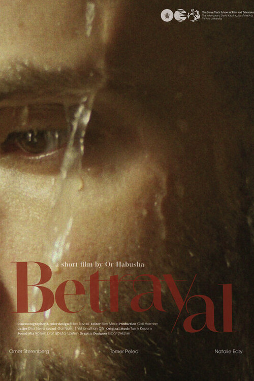 Movie poster for Betrayal (2024)